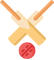 Cricket Icon